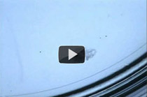VIDEO: Location and collection of an oocyte during egg collection. 